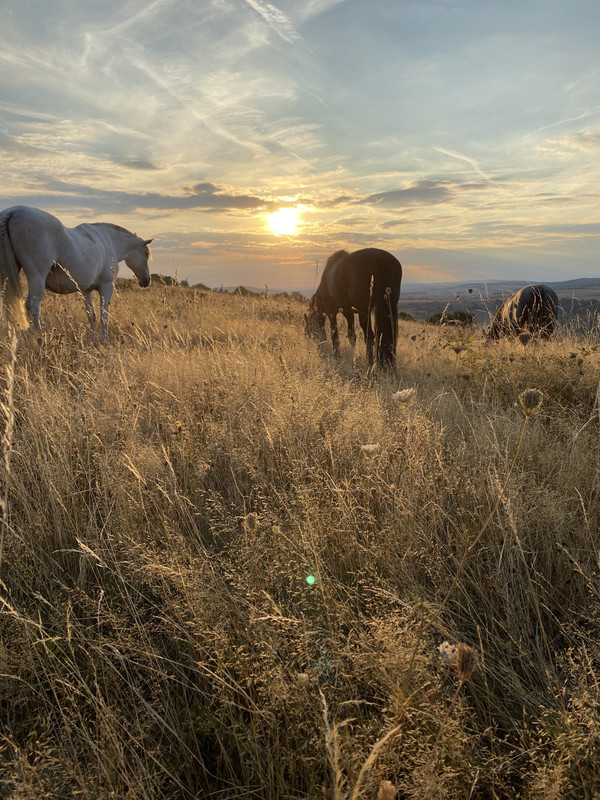 1A4E7D38-4A3E-46EA-B7B9-6126AE568FFF