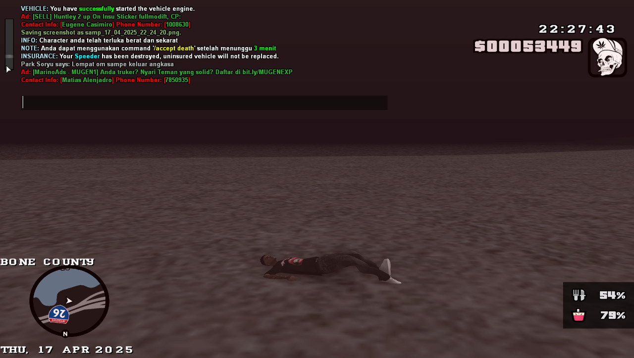 samp-17-04-2025-22-27-43.png
