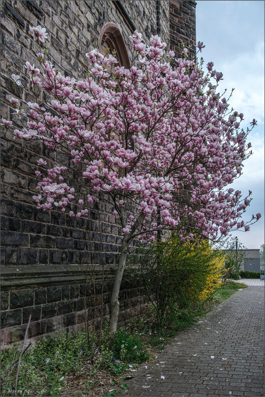 XT5A6998-Verbessert-RR 2025 Kirchberg 2 LR ERWZ FB