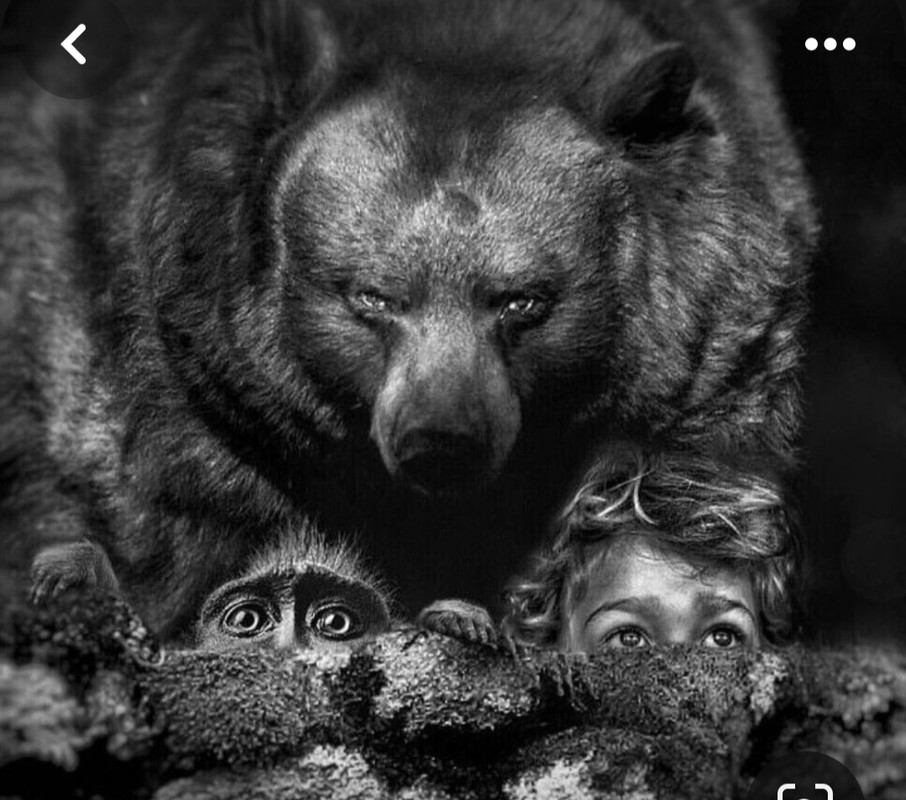 Screenshot_20231209_122109_Pinterest