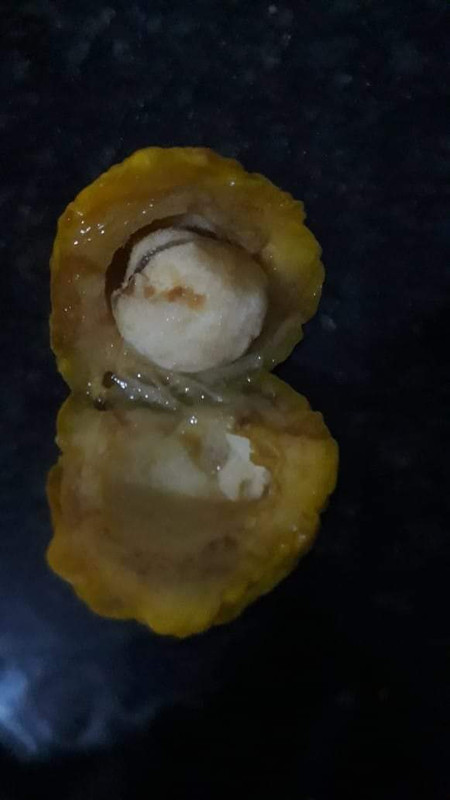 WhatsApp Image 2020-12-09 at 11.43.53 (1)