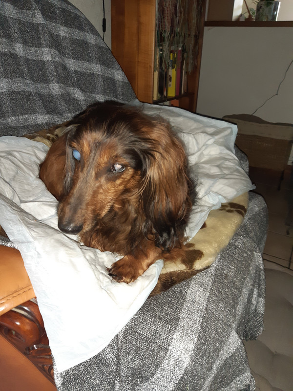 [Image: 20210518-123951.jpg]