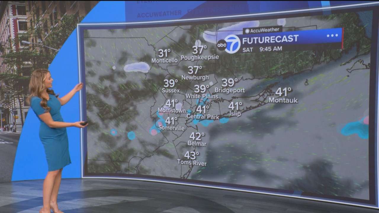 Eyewitness News Mornings at 10_20250307_15001600.ts_snapshot_19.58.753