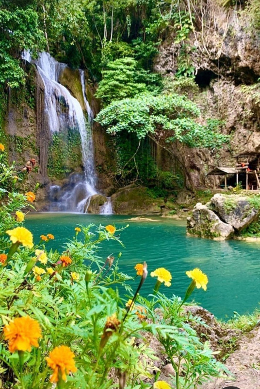 Screenshot_20240305_222122_Pinterest