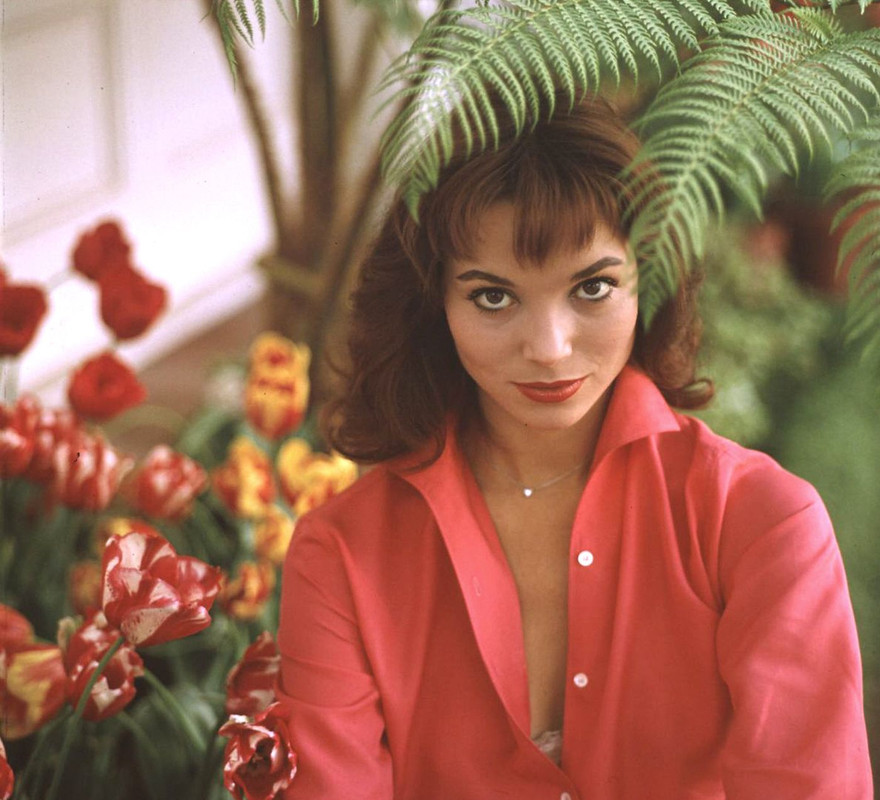 elsa_martinelli_c40