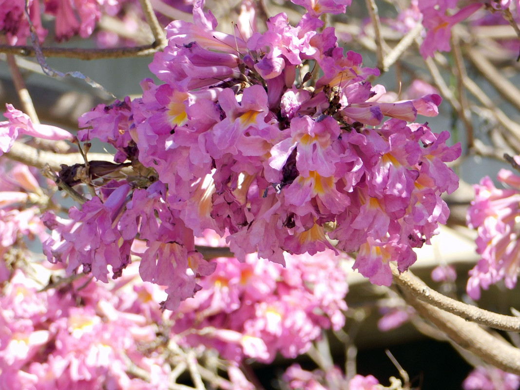 DSCN0051.jpg