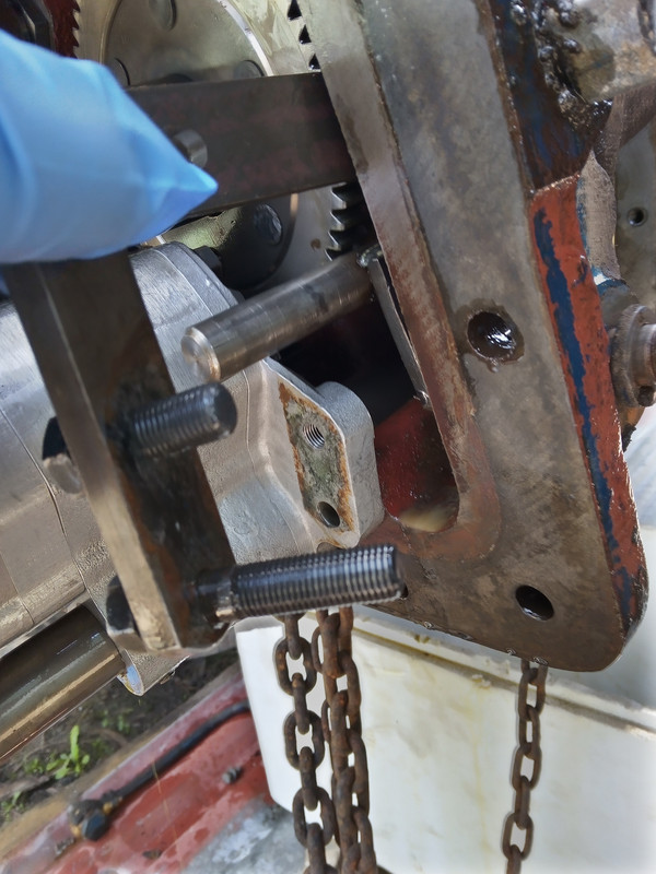 IMG_20211009_113836_1