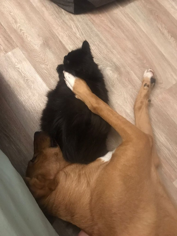 WhatsApp Image 2024-01-16 at 12.06.46 (1)