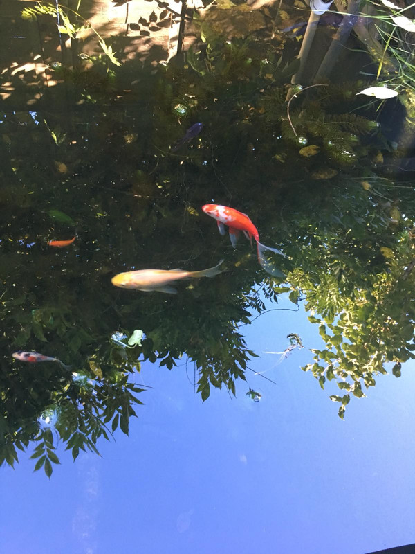 F36EDFAA-C511-42CC-B4B5-91EC53480B05