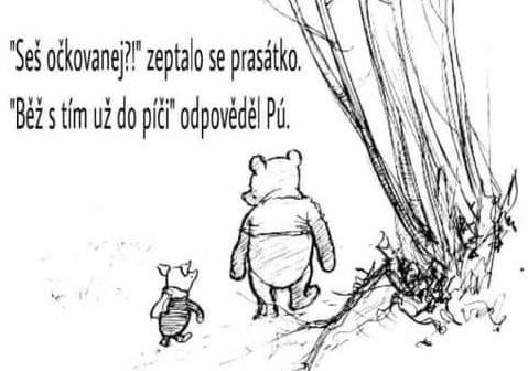 490384205 1221571179972825 874184720239879509 n