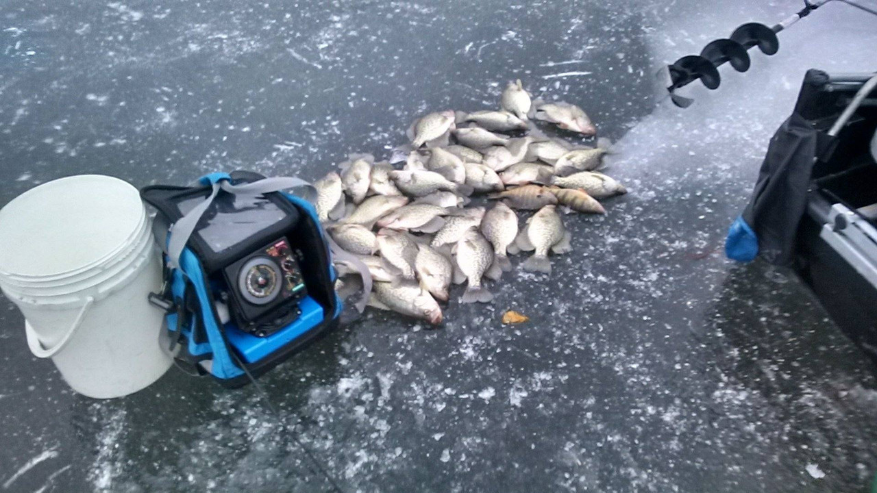 9C37724B-E4BA-46A1-8872-1EEDCDA1C5D7