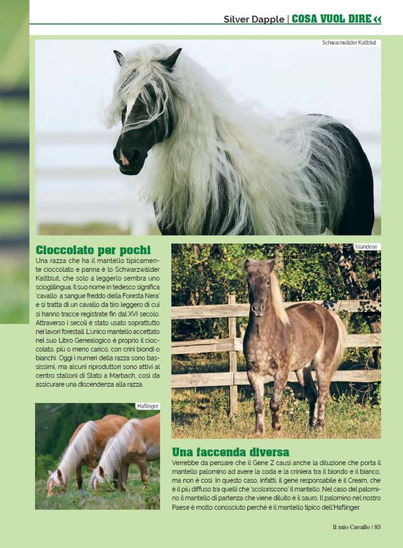 Il Mio Cav (Apr 2023) 12