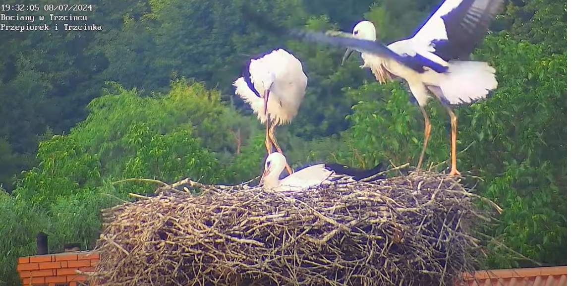 stoisznabrzeguzarazspadniesz