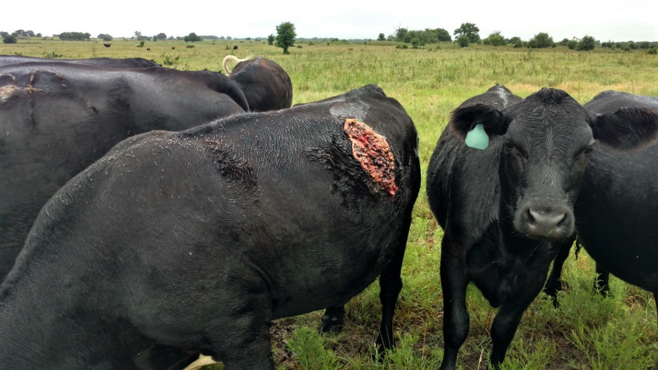thumbnail_IMG_20190803_101126889_HDR