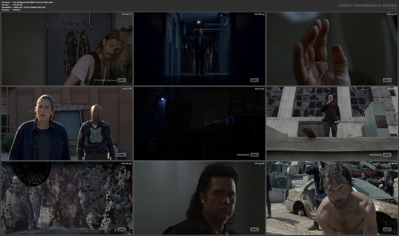 The Walking Dead S08E07 Time for After.mkv