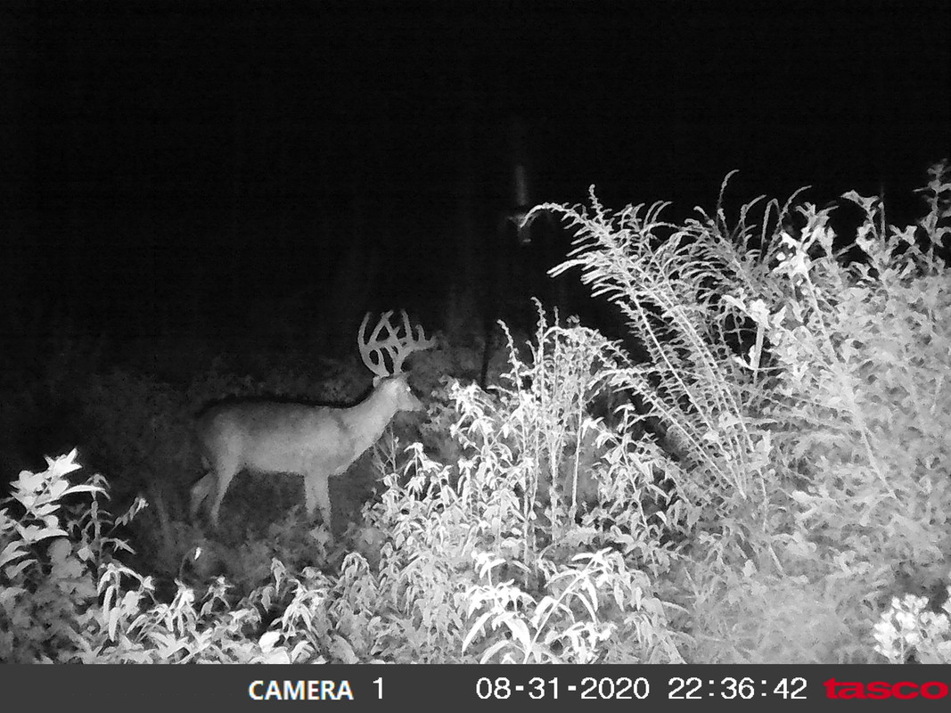 DF0C31EA-D297-4E91-A6B0-04BC8F3BCD9B