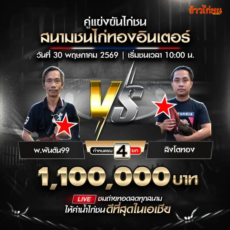 พ.พันตัน99 รออัปเดตคู่แข่งขัน สนามชนไก่ทองอินเตอร์ วันที่ 30 พฤษภาคม 2569