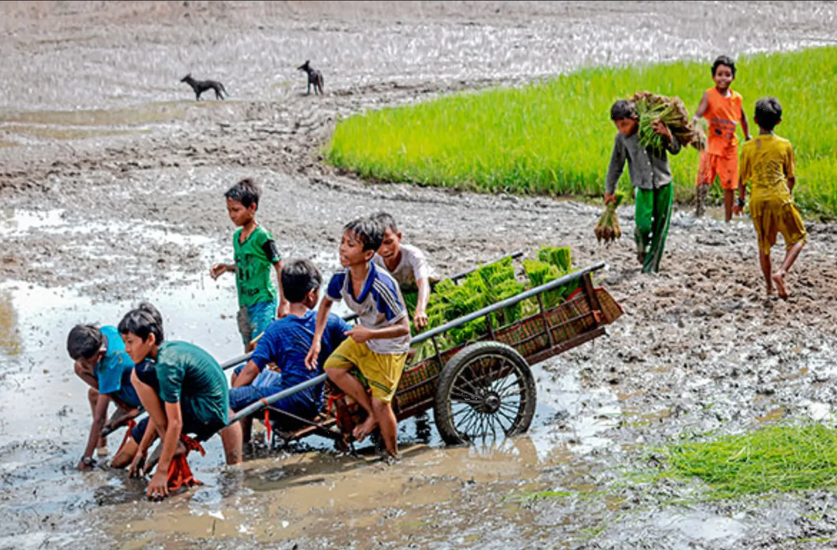 Más de 150 millones de niños trabajan en el Mundo, revela UNICEF