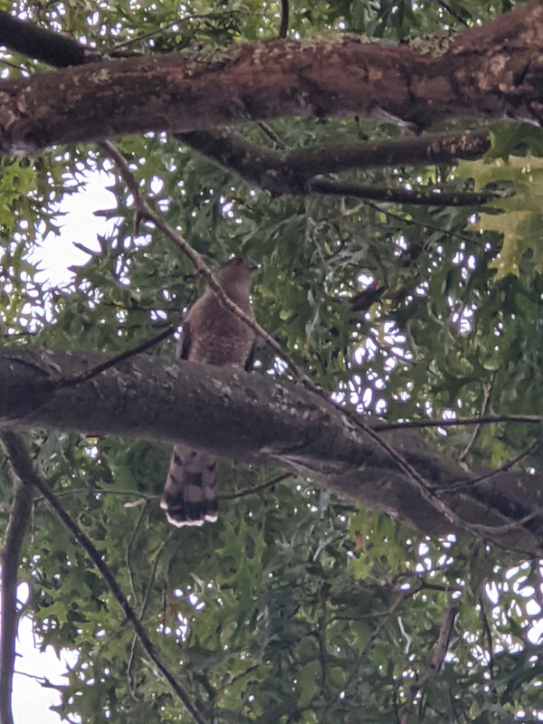 PXL_20210920_020144619