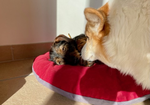 [Image: IMG-20240228-204808.jpg]