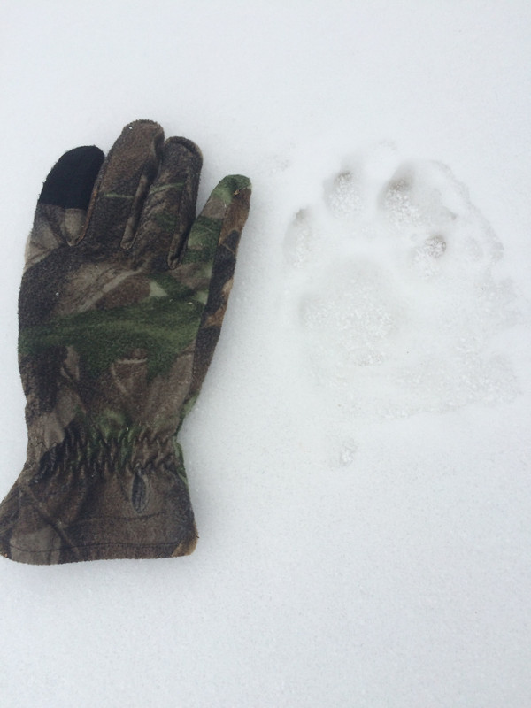 F5428CFD-5B2E-4BA5-AB3A-5720823F350D