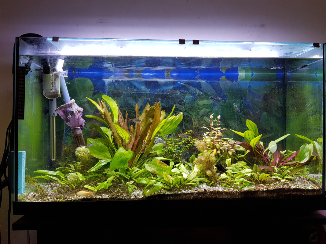 7775B084-C7FB-424C-A0A7-A534AA335AA3