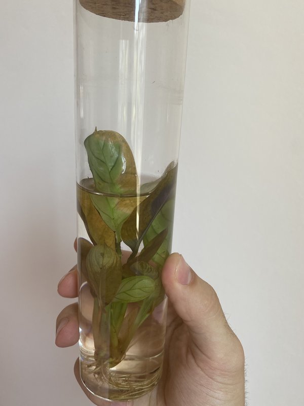 CDD085D0-96F6-4458-8110-B12D27EDF526