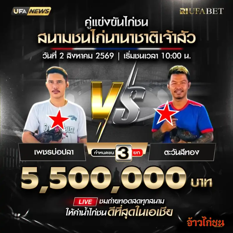 เพชรบ่อปลา พบ ตะวันสีทอง สนามชนไก่นานาชาติเจ้าสัว 2 สิงหาคม 2569