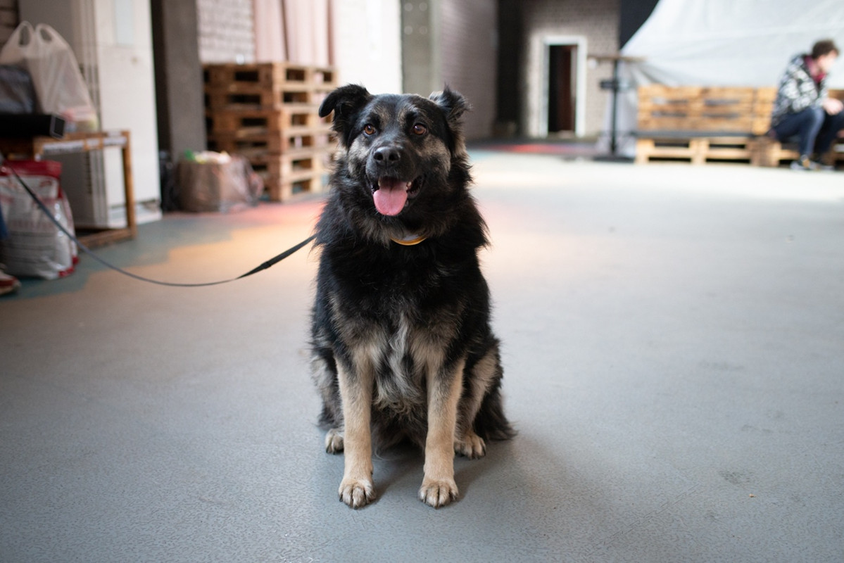 ooKJGBDVQkHp5-jLvWGmQhN0RMOCQsCp28It3dyrkIJVgQH3UElWWE1det6O8NylDlodw6fghheZb5NH_aDKwYdt