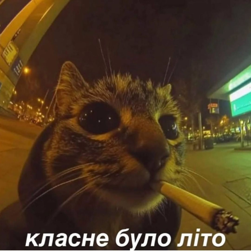 IMG-20250831-233946-489