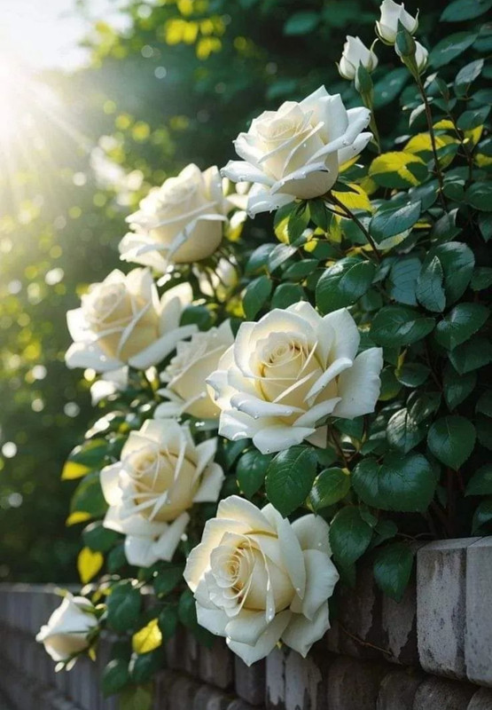 Screenshot_20240425_224045_Threads