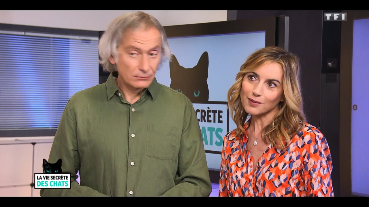 2020-05-30_10_35_TF1_La-vie-secrete-des-chats_Chats-et-sentiments-avec-Charlotte-Valan.mp4_snapshot_