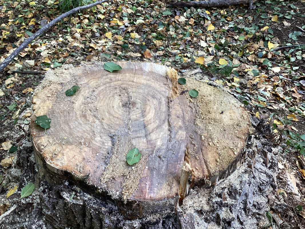 5DFDA609-BC48-4F10-ADC8-7E7CEAE857AC