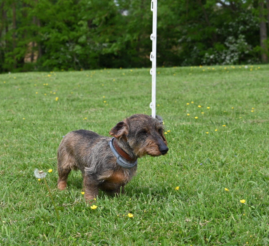 [Image: IMG-20250501-WA0020.jpg]