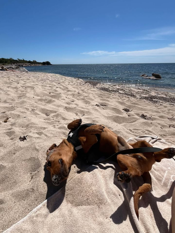 [Image: 494816164-1381678893087154-8208197833605430469-n.jpg]