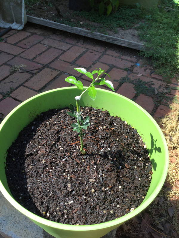 6EF720A5-B8D6-4343-91B7-BAF6F2B6FB7F