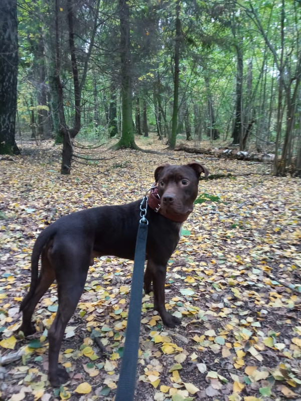 7924C479-7176-46FD-A70D-ABB8FA7433DB