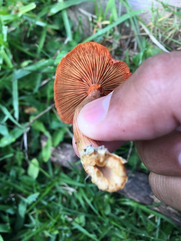 CCDC3357-1B08-4FC7-9D44-9694167BEA47