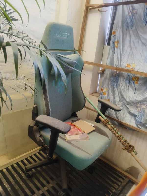 Whats App Image 2026 02 11 at 2 18 35 PM