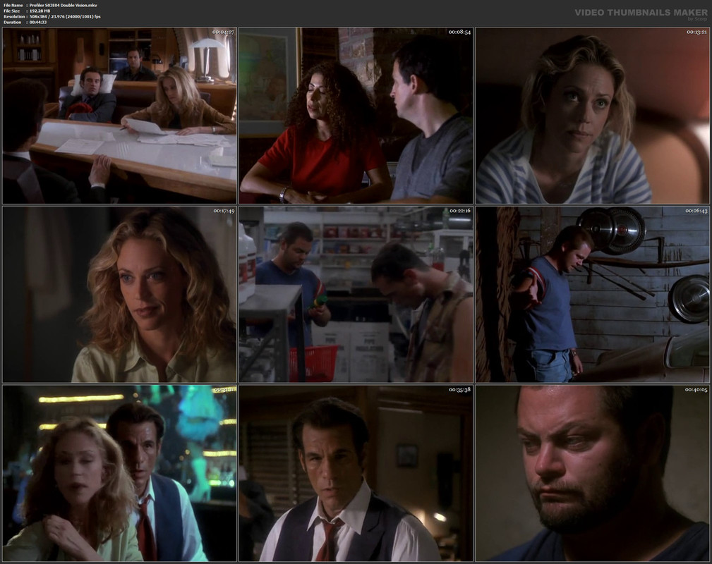 Profiler S03E04 Double Vision.mkv