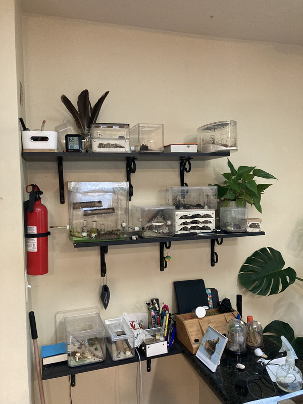 709D09A7-0F07-49C1-AA5D-E116C0C09F65