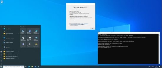 Windows Server 2022 Build 20348.768 AIO (x64) June 2022