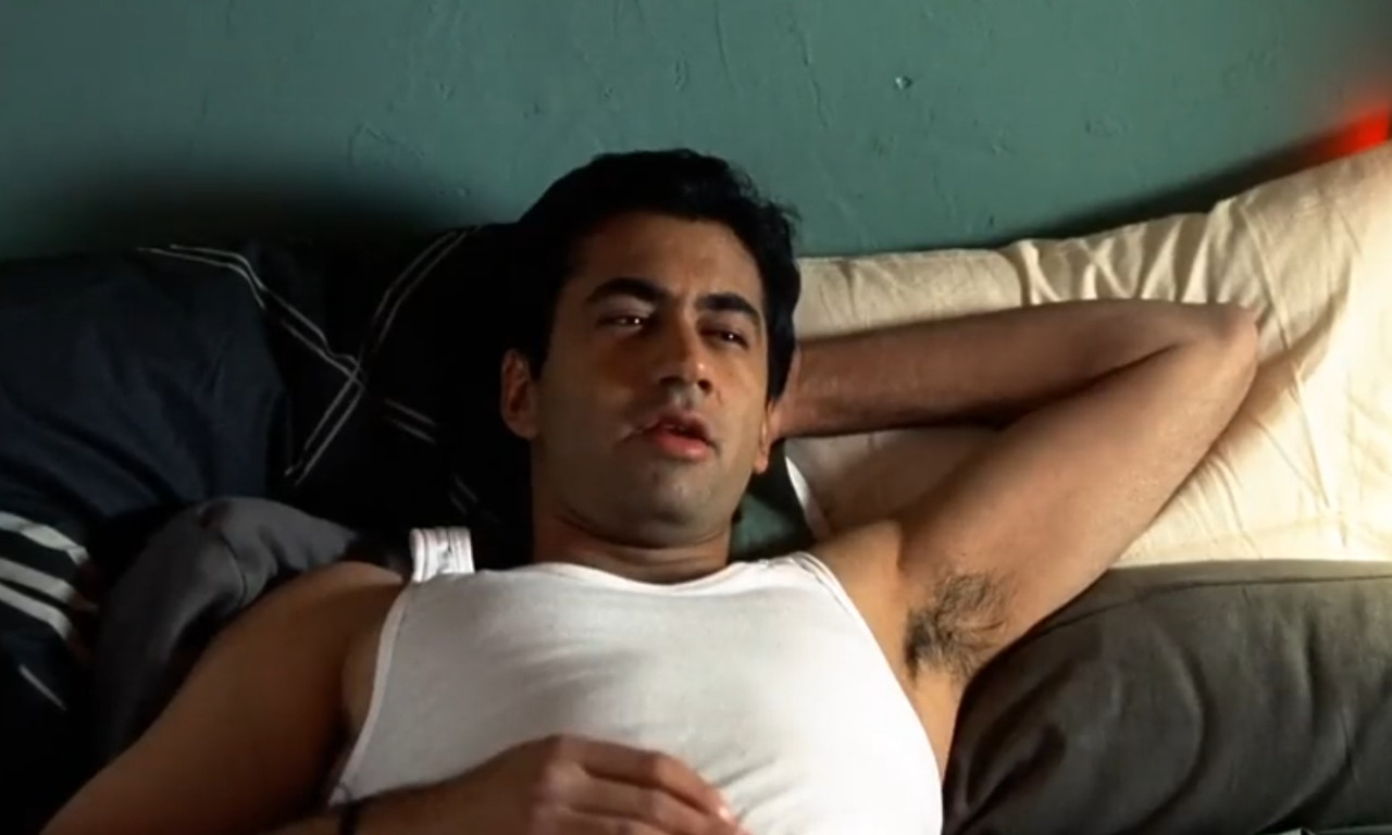 van wilder 2: the rise of taj van wilder 2: the rise of taj