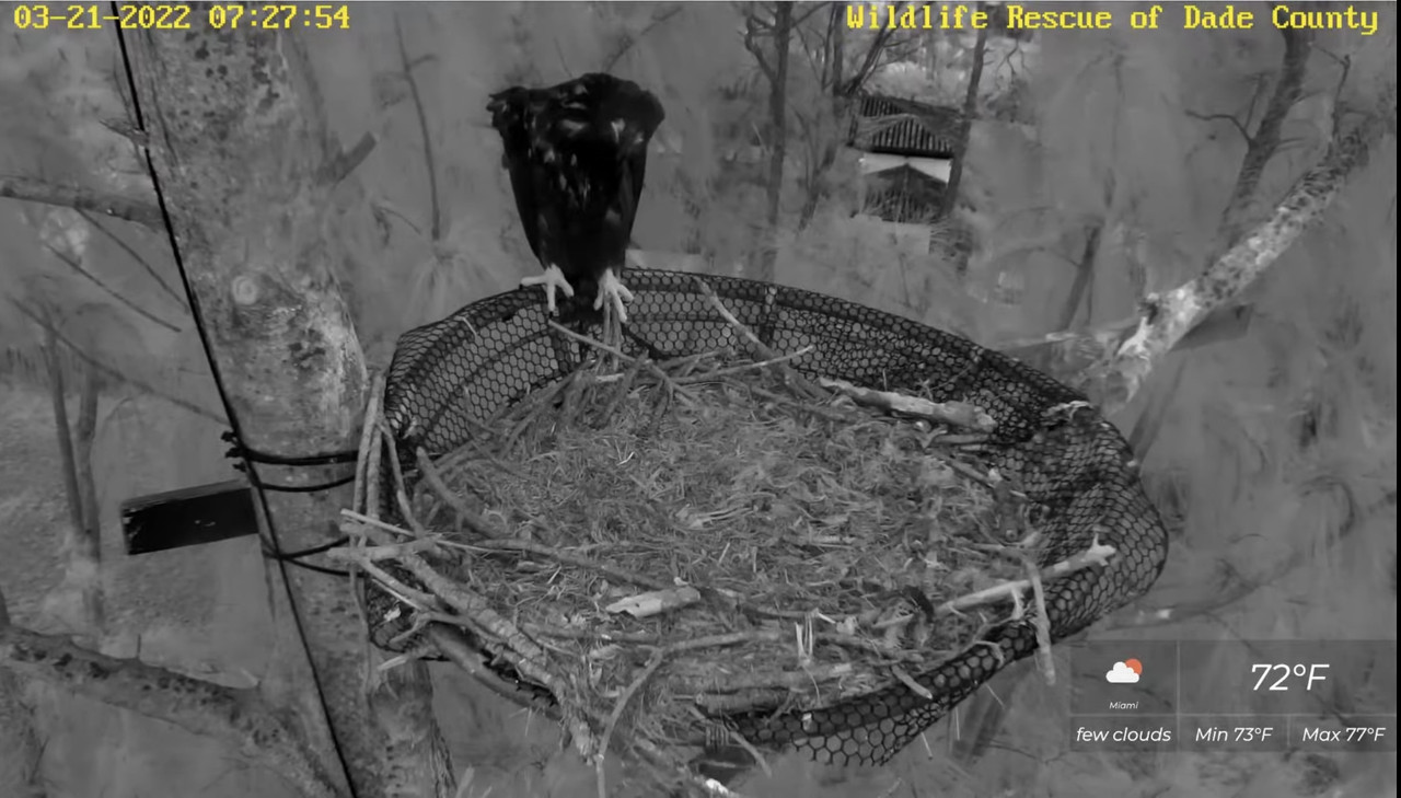 8EA7B0C3-DCA7-40ED-A4E7-9B16EF9A9275