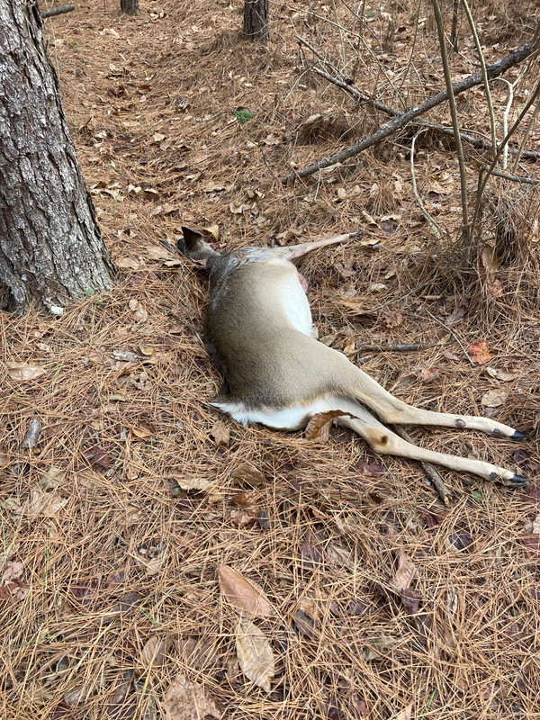 75475931691__39C794ED-A60B-4033-98B5-AF856F060D98