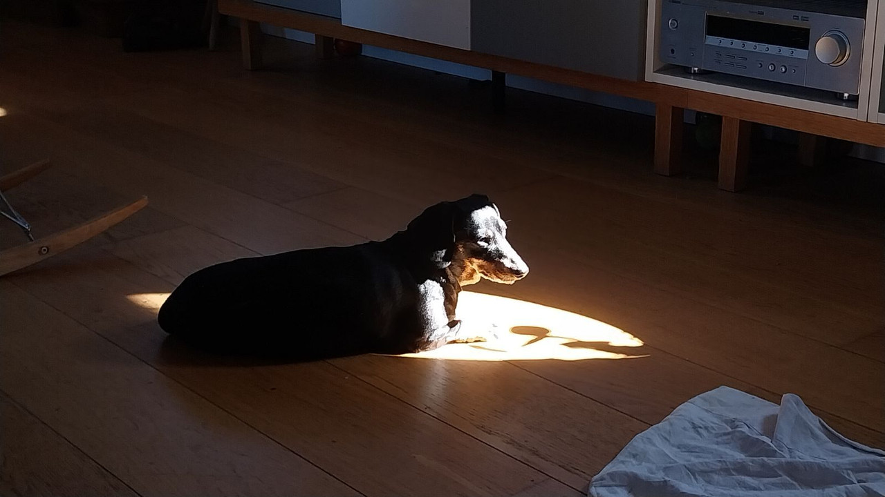 [Image: IMG-20240811-160938.jpg]