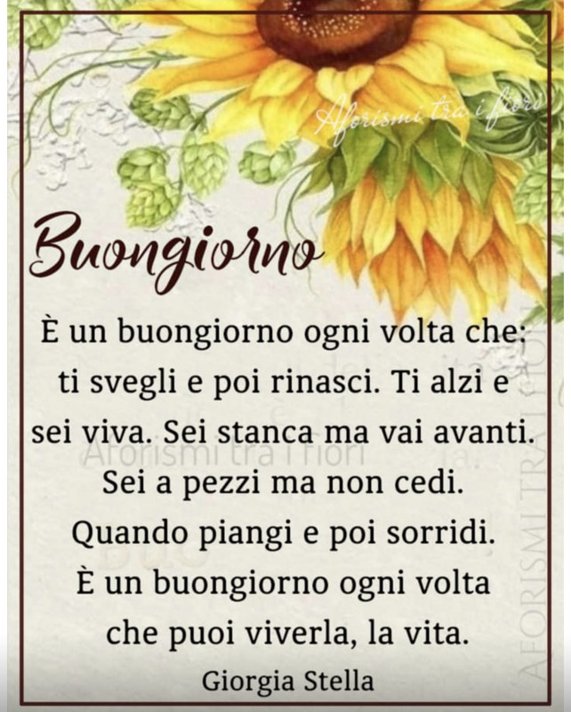 D34AE44C-FF25-463B-9CD9-32E95EDBE036