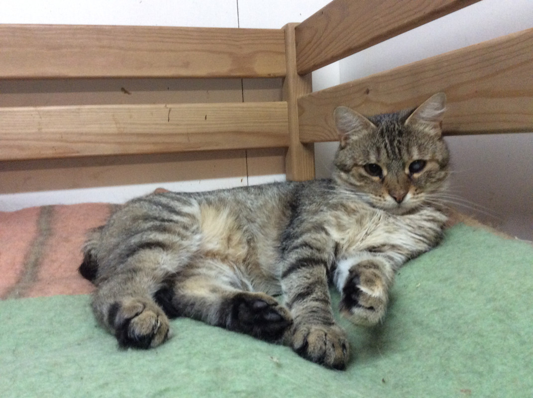 EC738D12-DC16-4B62-A092-B5C027E4CDA5