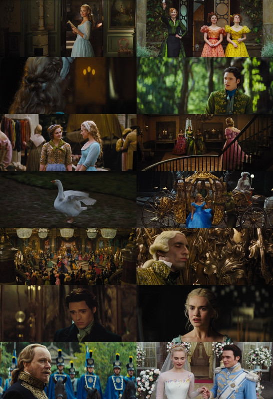 Cinderella (2015) 1080p | 720p | 480p BluRay [Hindi (हिन्दी) + English] DD5.1 ESub
