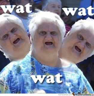 wat-wat-wat-oh-wait-why-im-doing-this_o_2044883.jpg